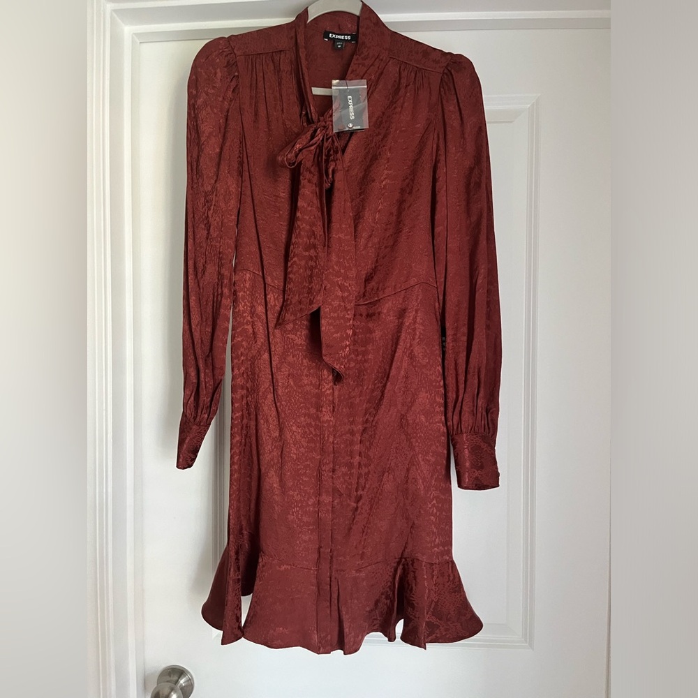 Express Long Sleeve Tie Burnout Dress